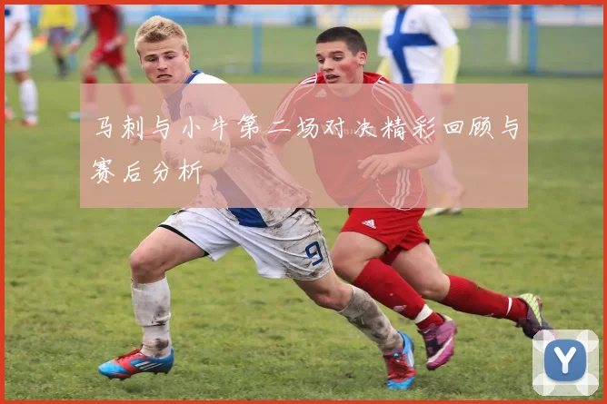 马刺与小牛第二场对决精彩回顾与赛后分析