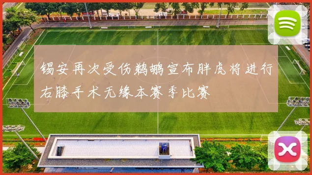锡安再次受伤鹈鹕宣布胖虎将进行右膝手术无缘本赛季比赛